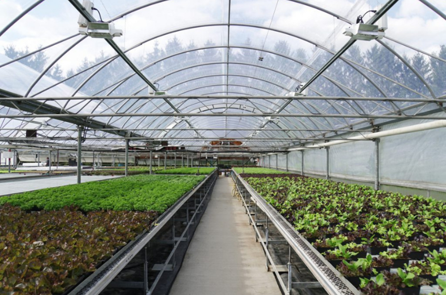 Slegers Greenhouses